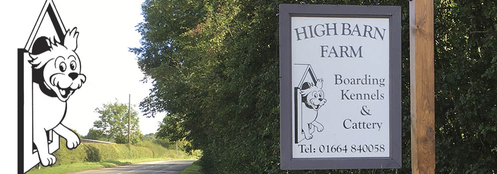 Photo of Surrounding Farm