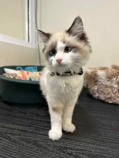 Our friend Zeeno: Swipe To View More Images