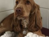 Our friend ‘Charlie’: Click Here To View Larger Image
