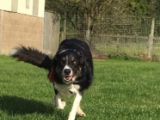 Our friend ‘Max’: Click Here To View Larger Image