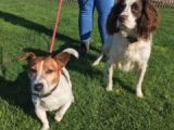Our friends `Oscar & Bryn`: Click Here To View Larger Image