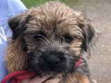 Our new friend ‘Mable’: Click Here To View Larger Image