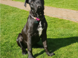Our friend `Betsy` : Click Here To View Larger Image