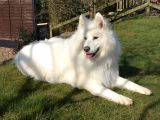 Our Friend `Della`: Click Here To View Larger Image