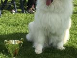 Well Done `Della`!: Click Here To View Larger Image